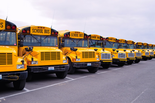Fleet of School Buses